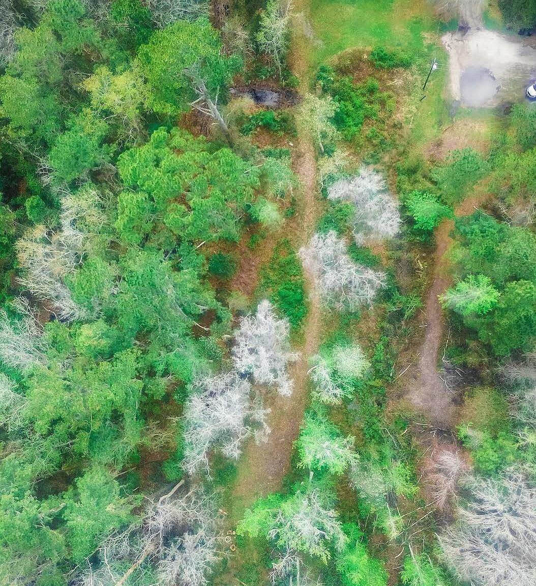 266 Lake Dr Florahome, FL 32140 - Thumbnail 5