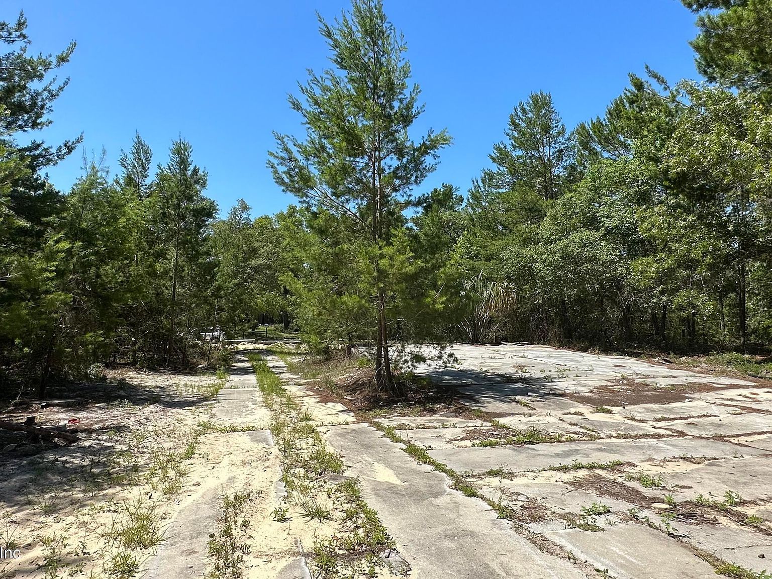 110 Lincoln St Satsuma, FL 32189 - Thumbnail 5