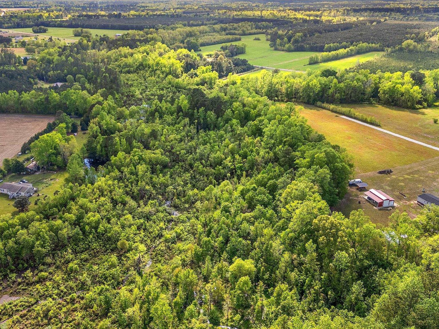 Sheila Dr LOT 3-9.75 Johnsonville, SC 29555 - Thumbnail 5