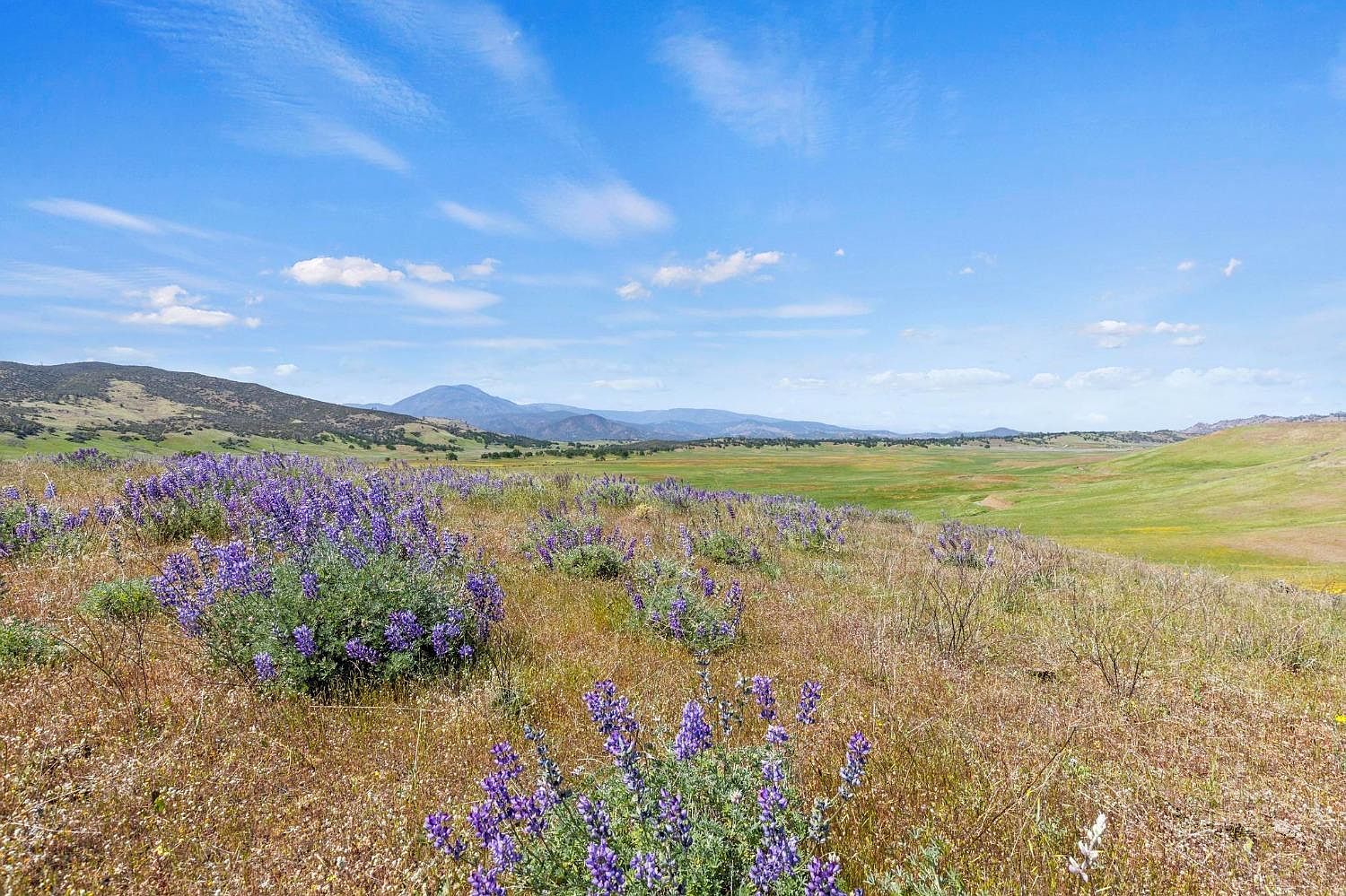 0 Lodoga Stonyford Rd Stonyford, CA 95979 - Thumbnail 5