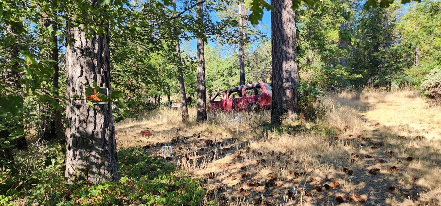 8671 La Porte Rd Brownsville, CA 95919 - Thumbnail 5