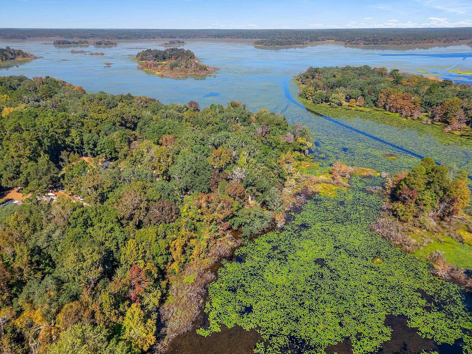 0 Lake Iamonia Dr Tallahassee, FL 32312 - Thumbnail 5