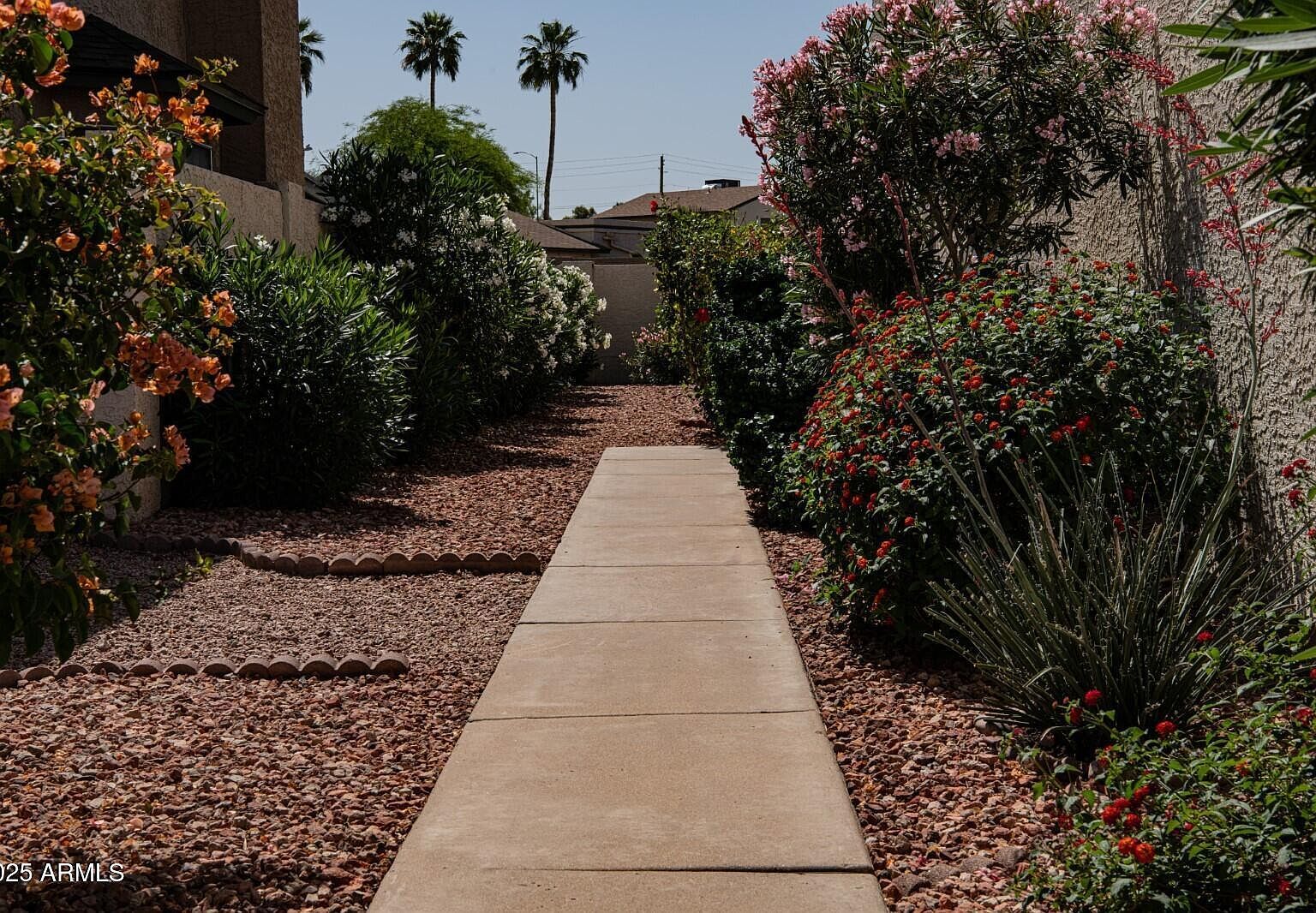 630 E Jensen St UNIT 116 Mesa, AZ 85203 - Thumbnail 5