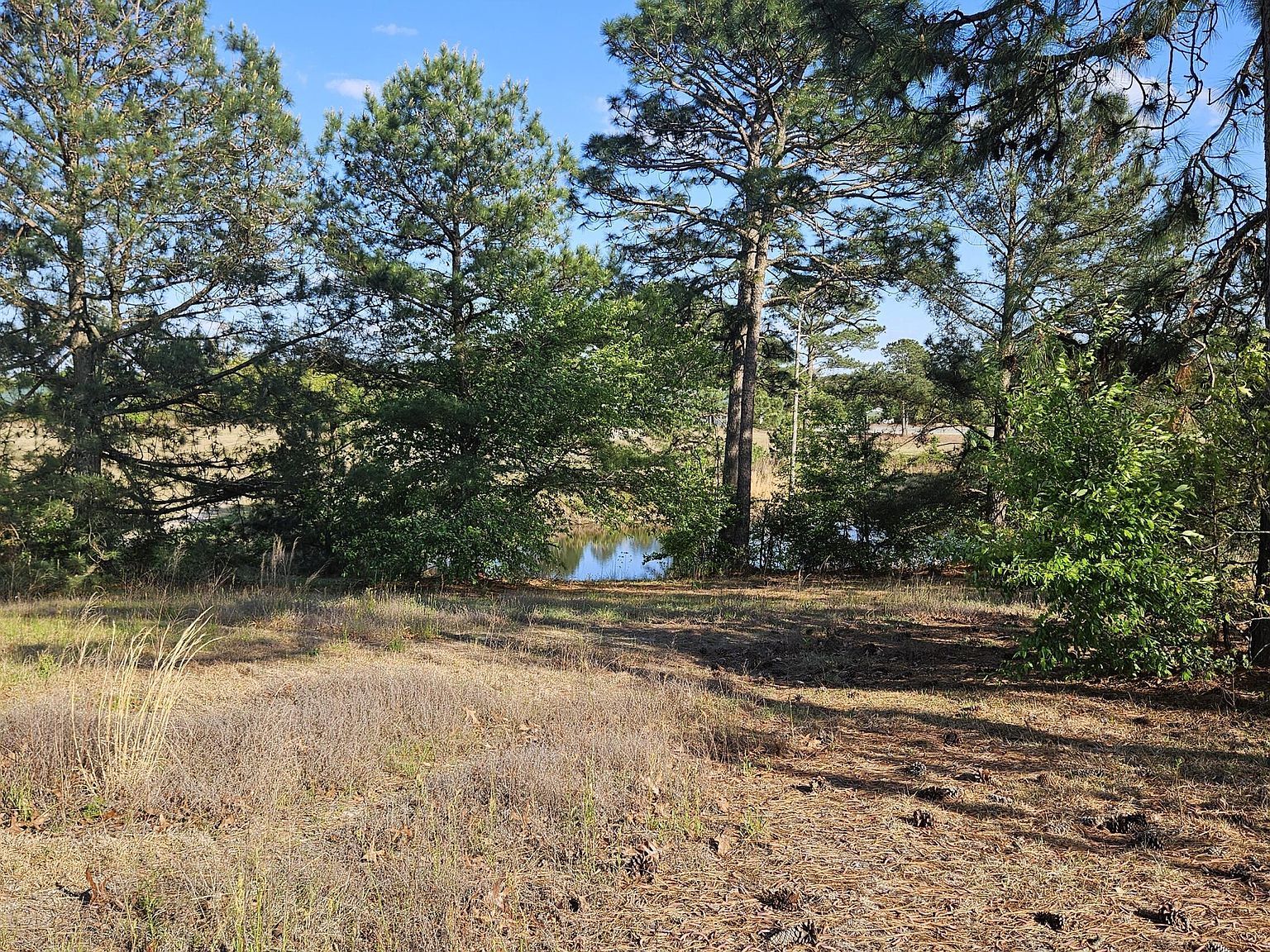 1 Old Tom Morris Rd Garland, NC 28441 - Thumbnail 5