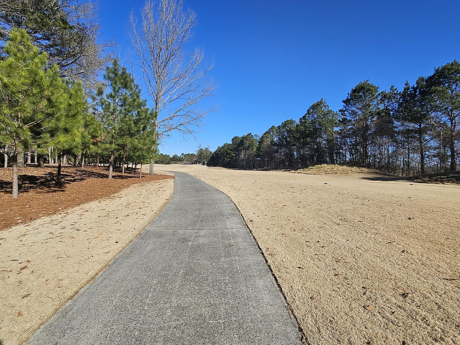 118 Pilot House Dr Wallace, NC 28466 - Thumbnail 5