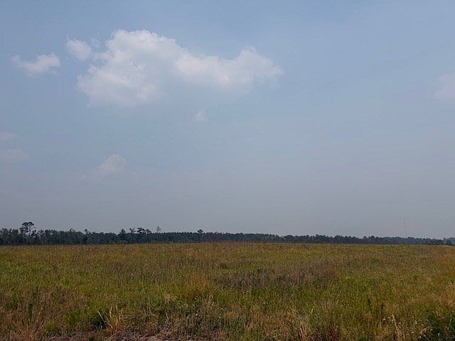 0 Moore Rd Tract 10 Naylor, GA 31641 - Thumbnail 5