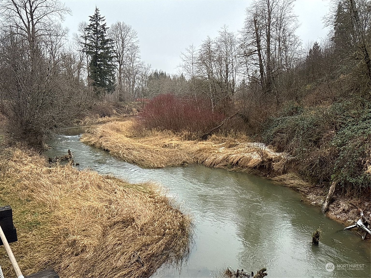 24 Xx Howard Ave Centralia, WA 98531 - Thumbnail 5