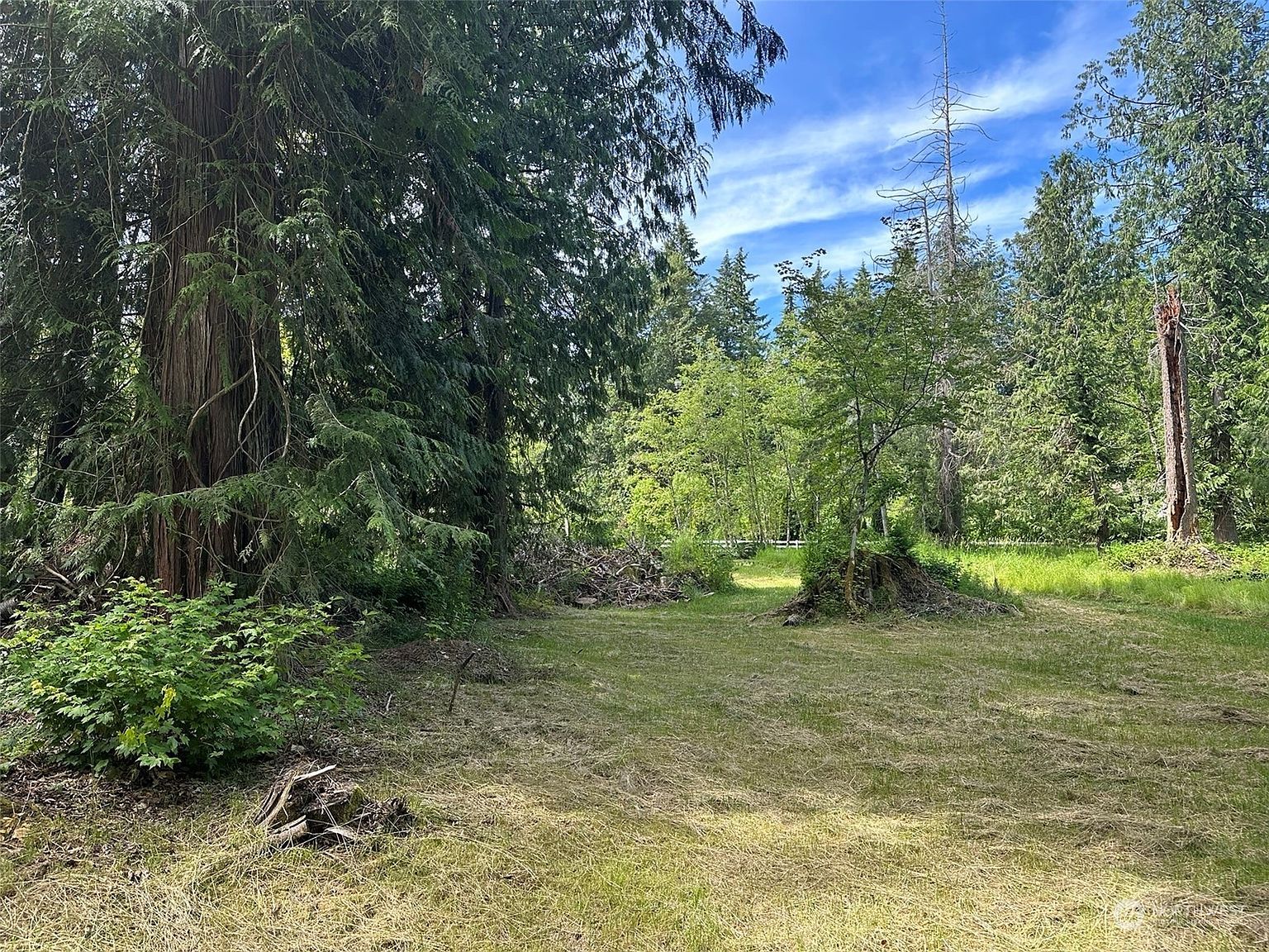 120 Xx 196th Ave NE Redmond, WA 98053 - Thumbnail 5