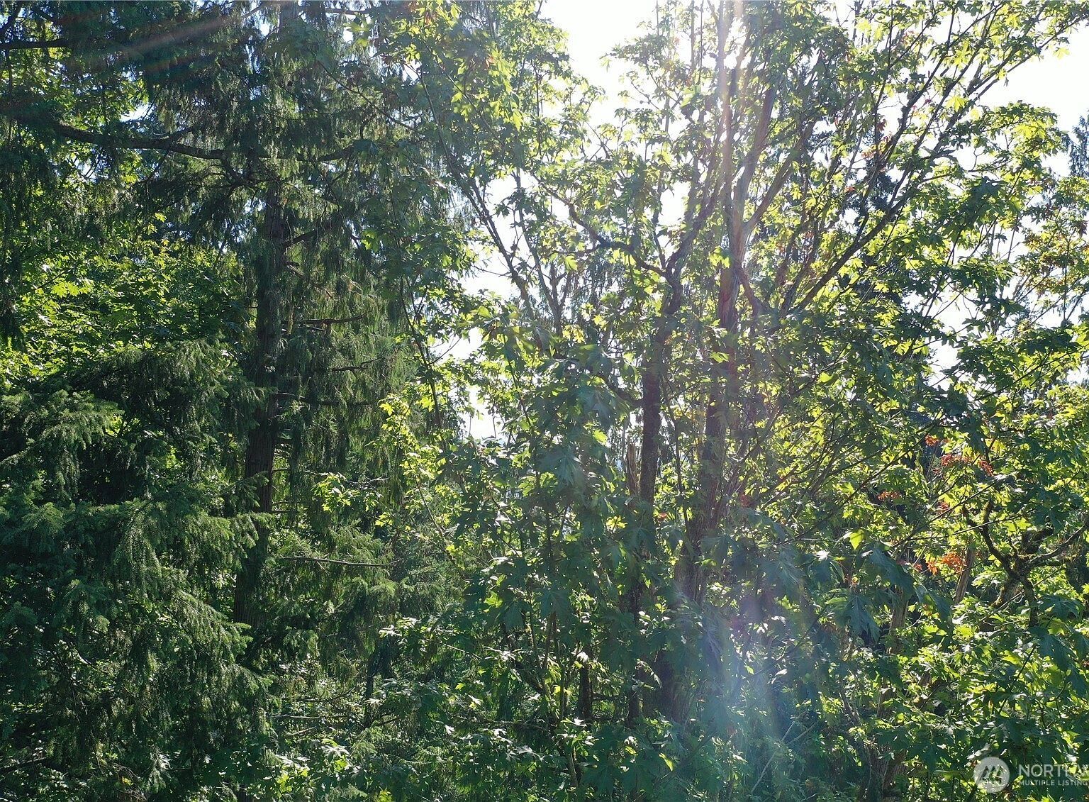 9458 SE 47th St Mercer Island, WA 98040 - Thumbnail 5