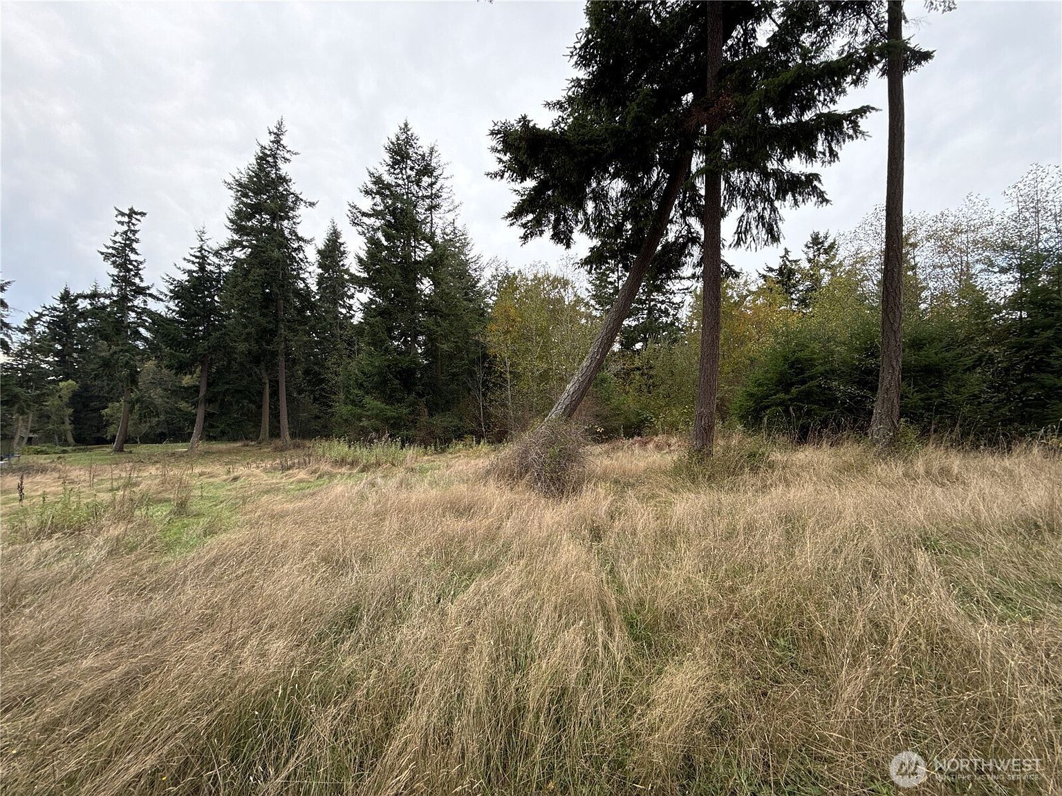 29922 State Route 525 Coupeville, WA 98239 - Thumbnail 5