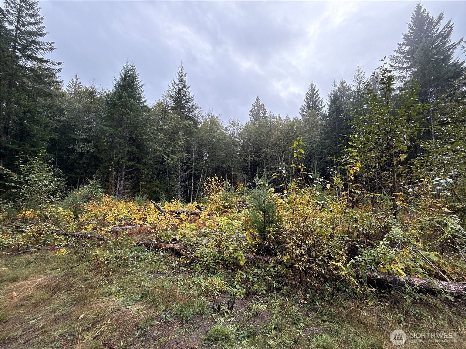 4 Xx Forest Rd #52 Kennewick, WA 99338 - Thumbnail 5