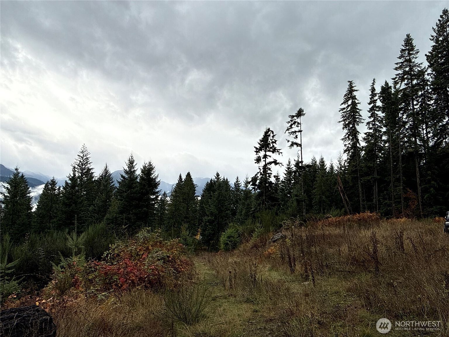 2 Xx Forest Rd #52 Packwood, WA 98361 - Thumbnail 5