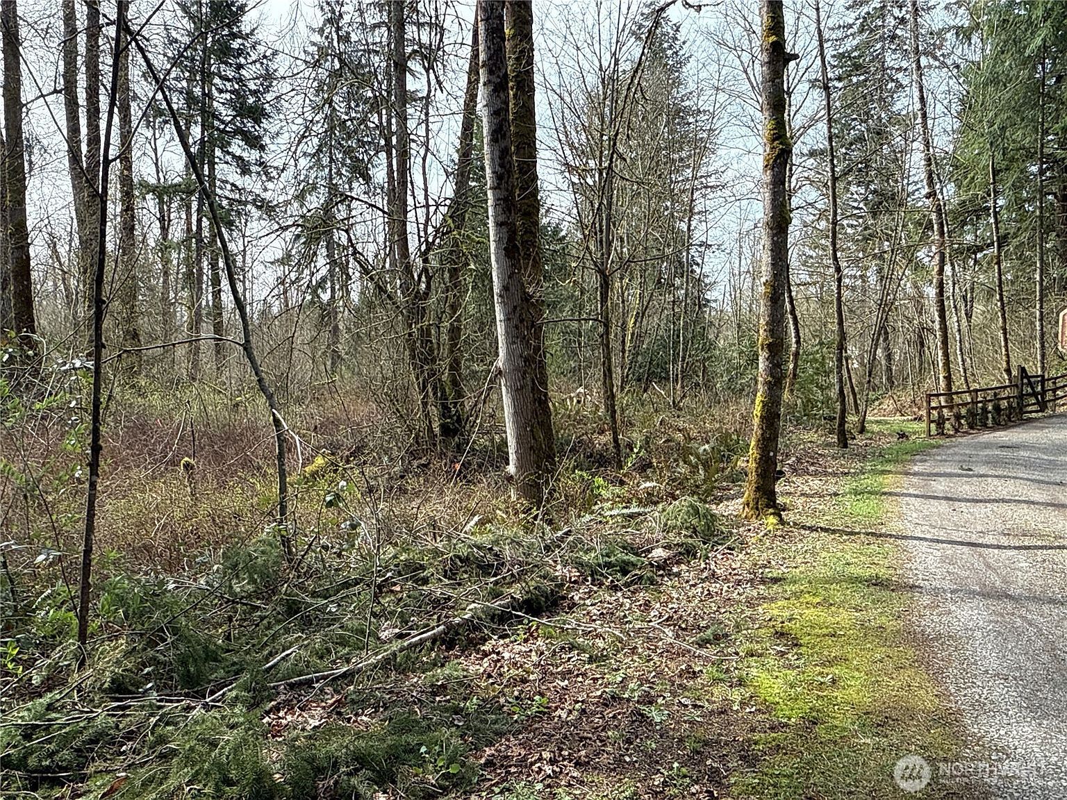 22 212th Ave SE Maple Valley, WA 98038 - Thumbnail 5