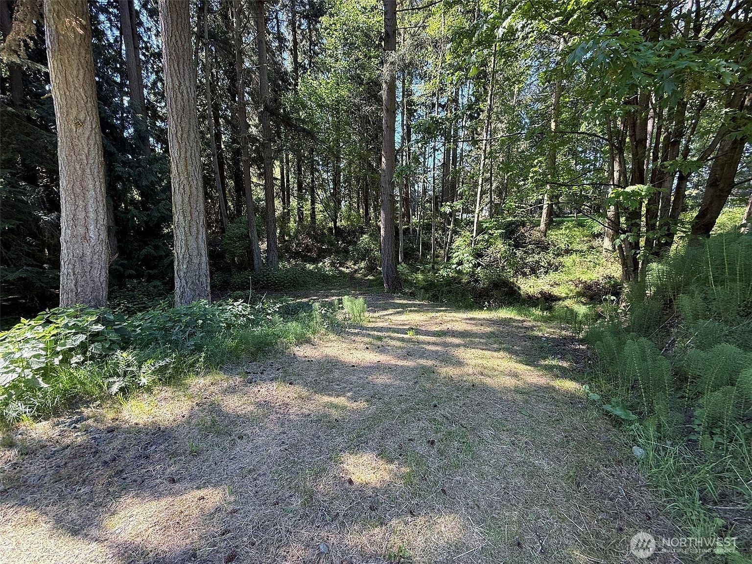 5860 Fish Rd Freeland, WA 98249 - Thumbnail 5