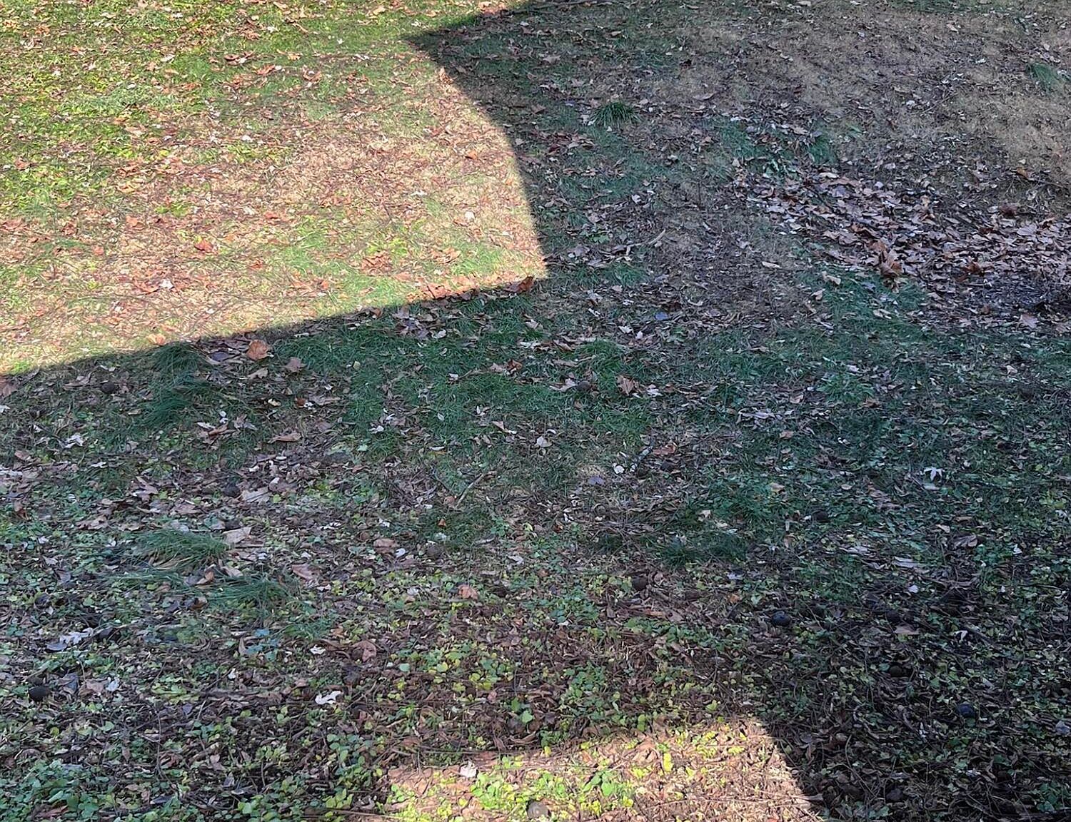 51 E Walnut St Plymouth, PA 18651 - Thumbnail 5