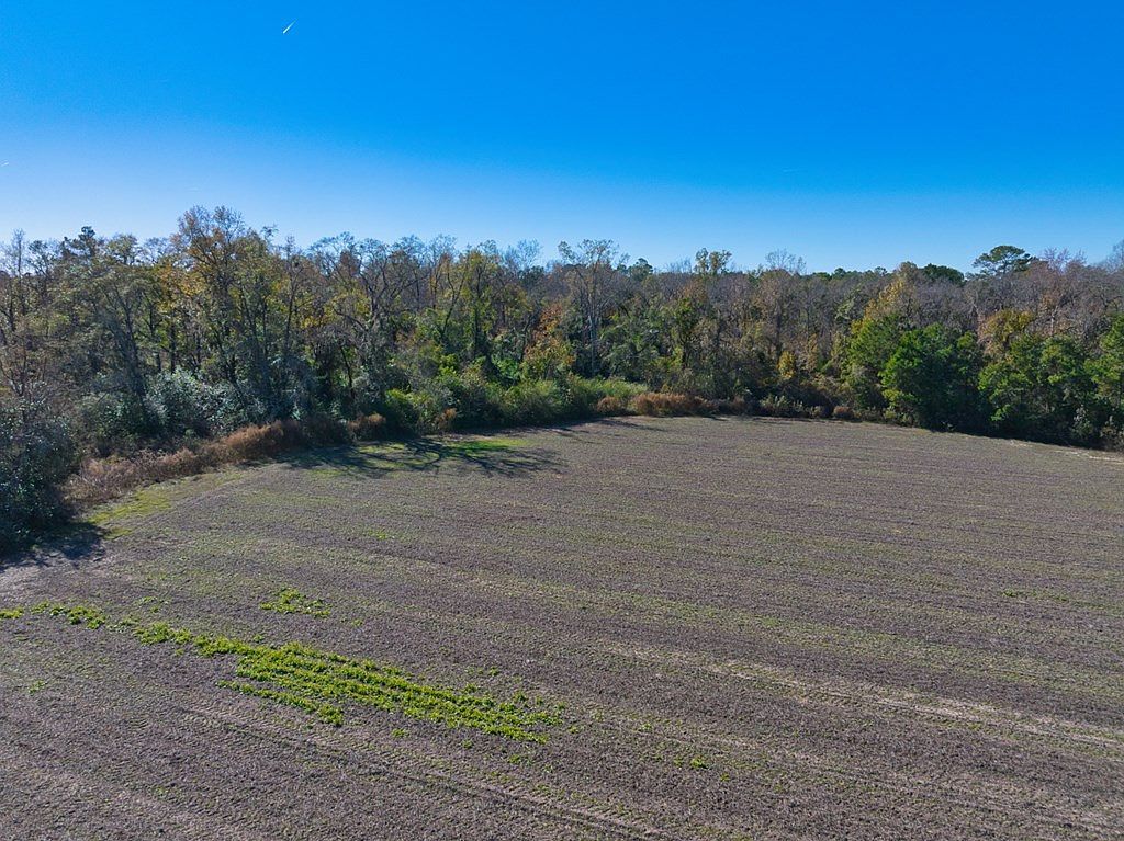 TRACT 5 Salem Church Rd Hahira, GA 31632 - Thumbnail 5