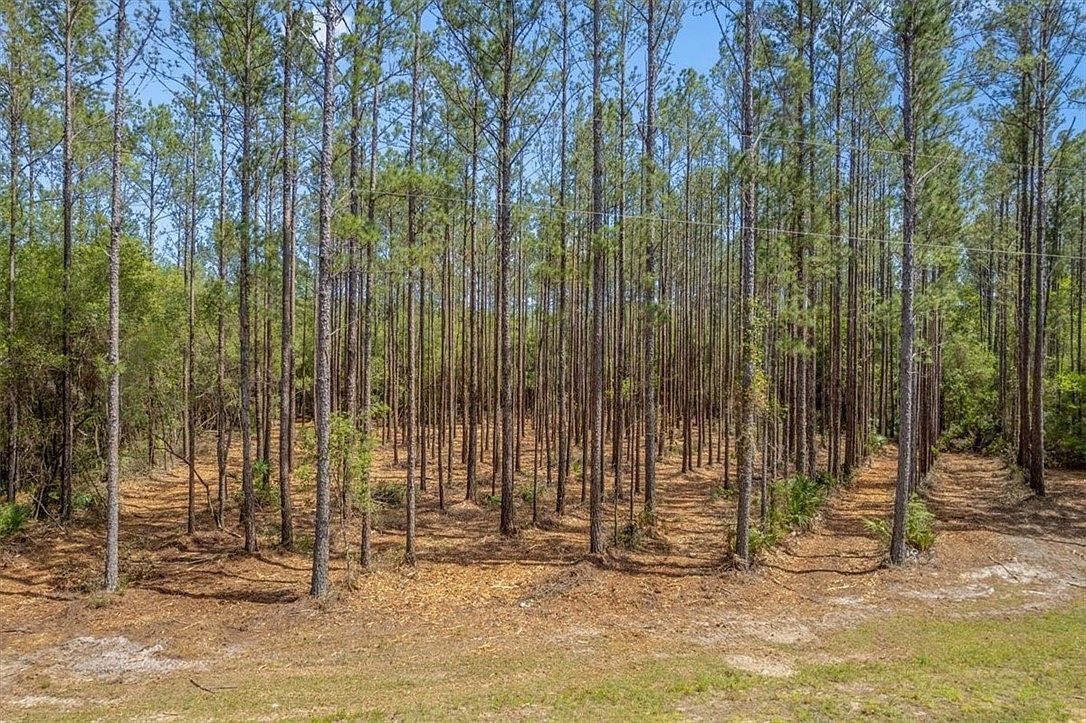 22 Heritage Way Hortense, GA 31543 - Thumbnail 5