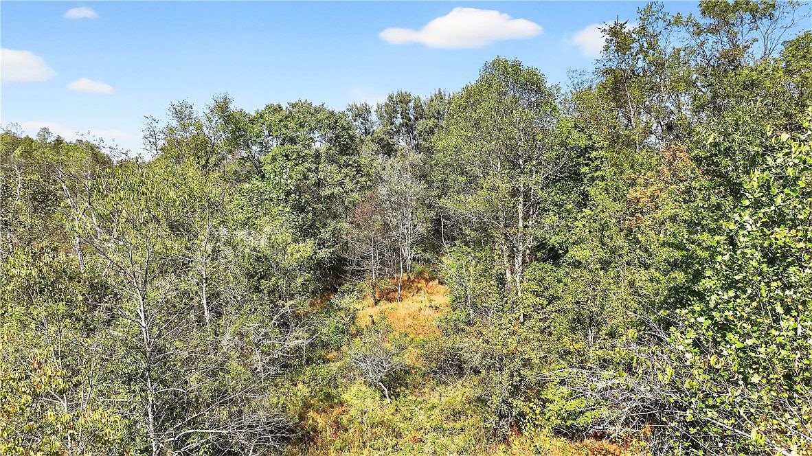 281 Porter Rd Rostraver Township, PA 15012 - Thumbnail 5