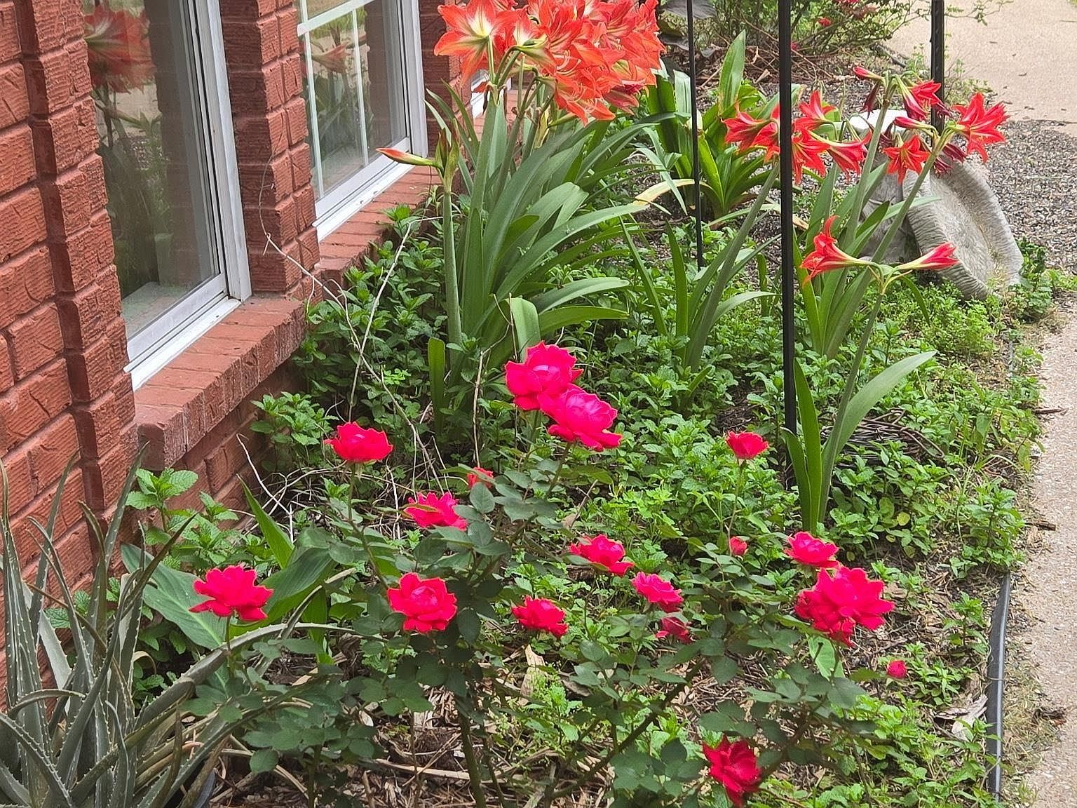 4108 County Road 427 Tyler, TX 75704 - Thumbnail 5