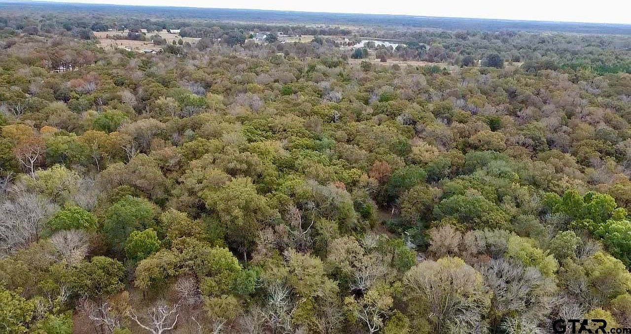 15308 W Fm 321 Tennessee Colony, TX 75861 - Thumbnail 5