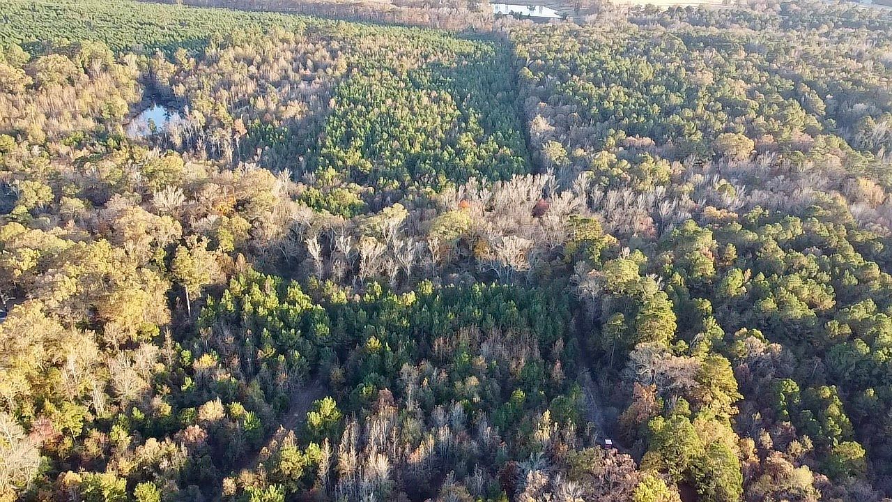 Cactus Rd Pittsburg, TX 75686 - Thumbnail 5