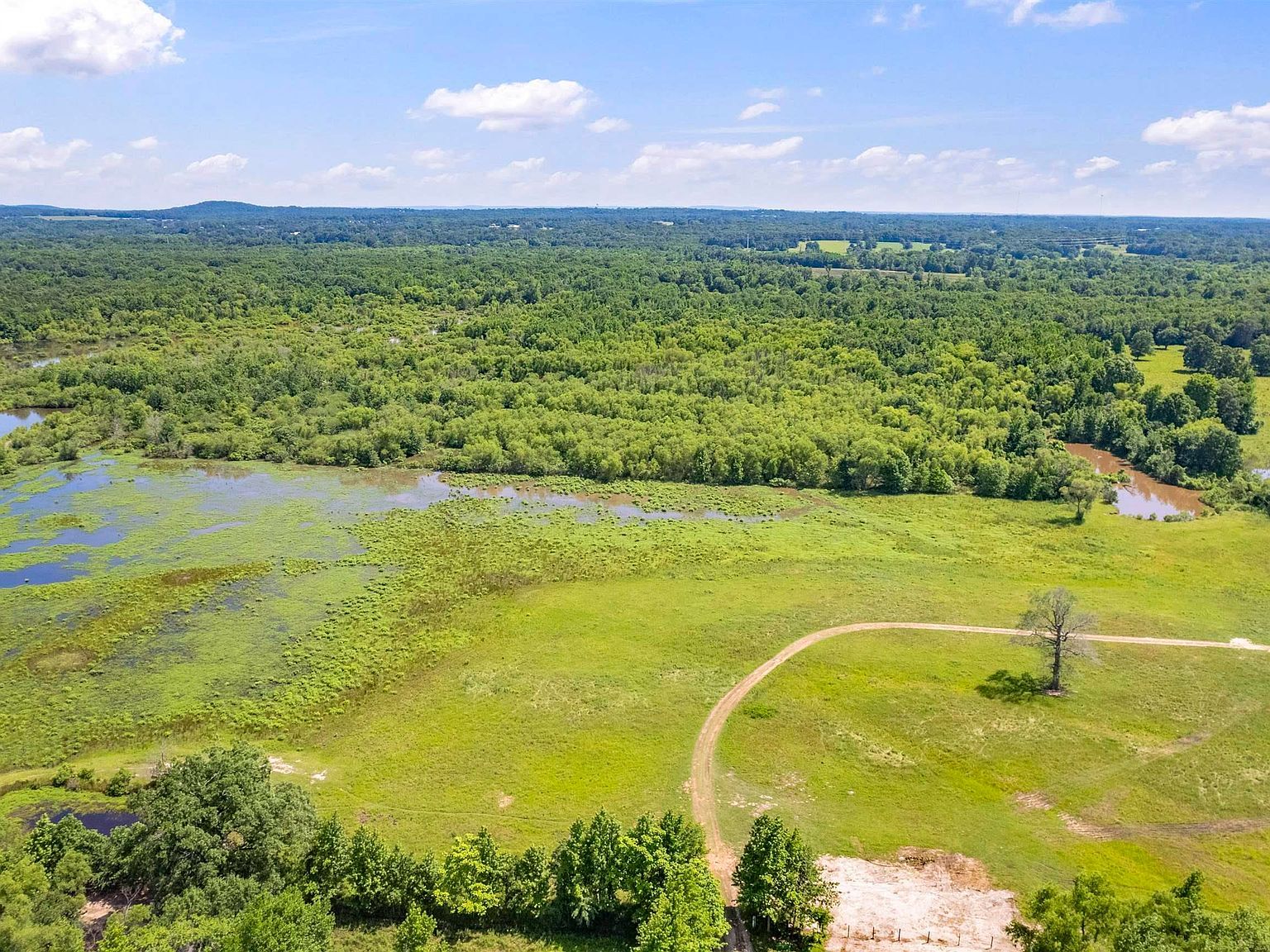 12250 County Road 3513 Brownsboro, TX 75756 - Thumbnail 5