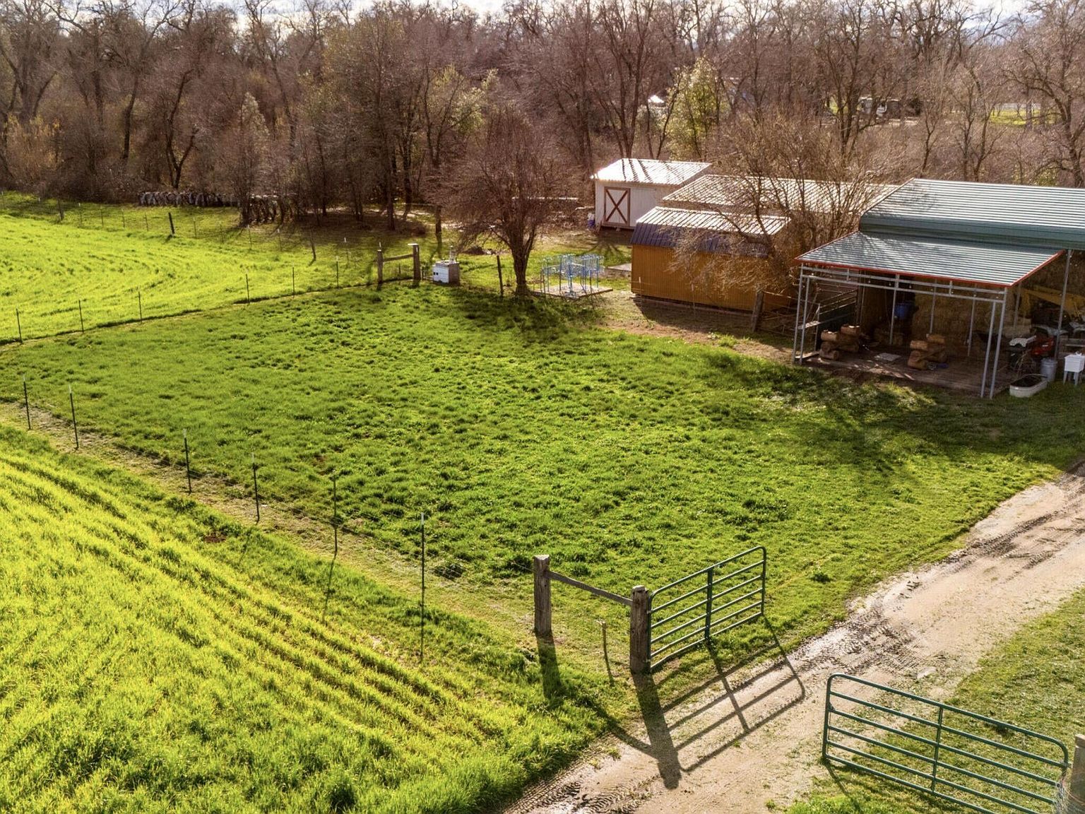 Blue Mountain Rd Redding, CA 96003 - Thumbnail 5