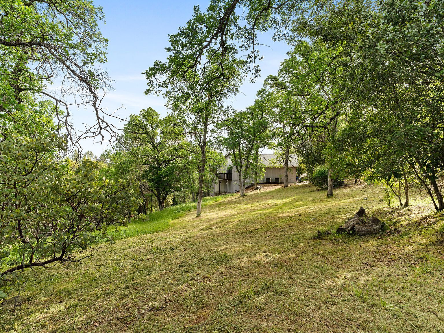 866 Pioneer Dr Redding, CA 96001 - Thumbnail 5