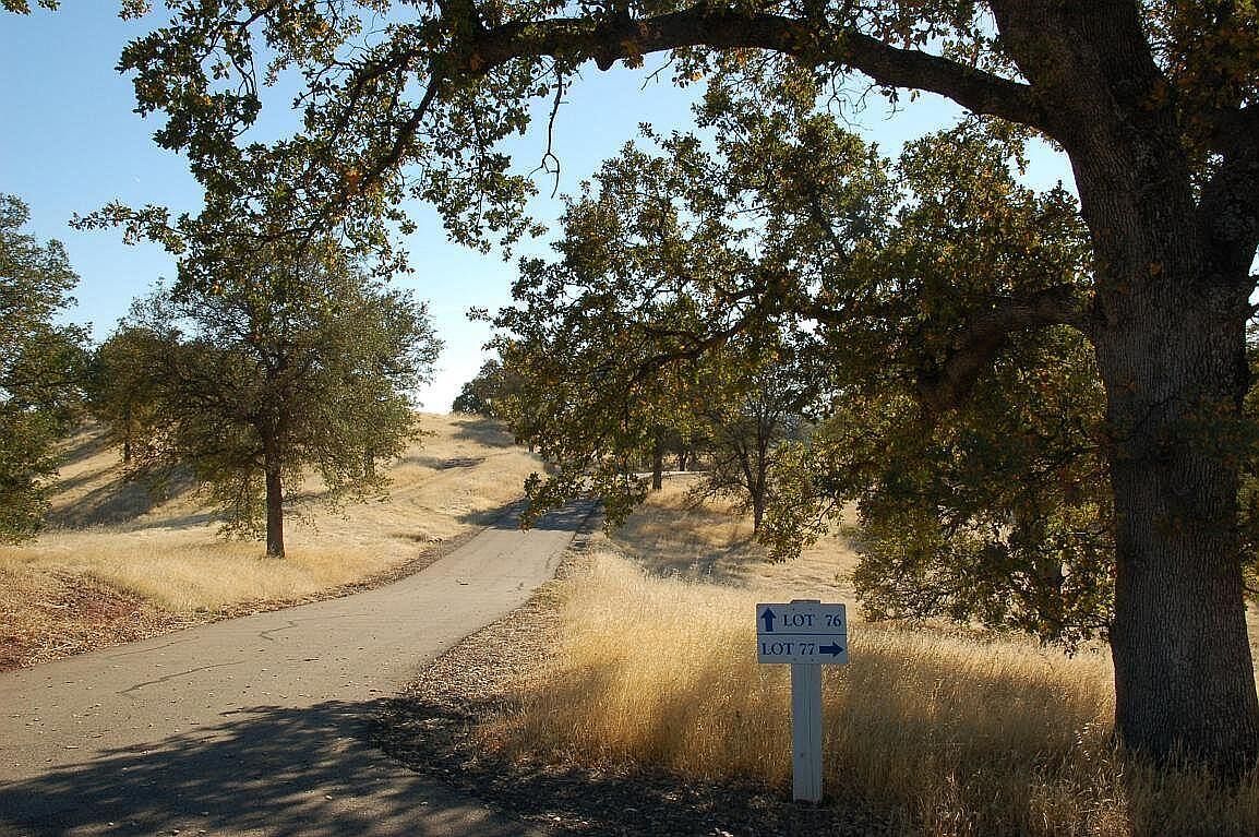 LOT 77 River Downs Way Cottonwood, CA 96022 - Thumbnail 5