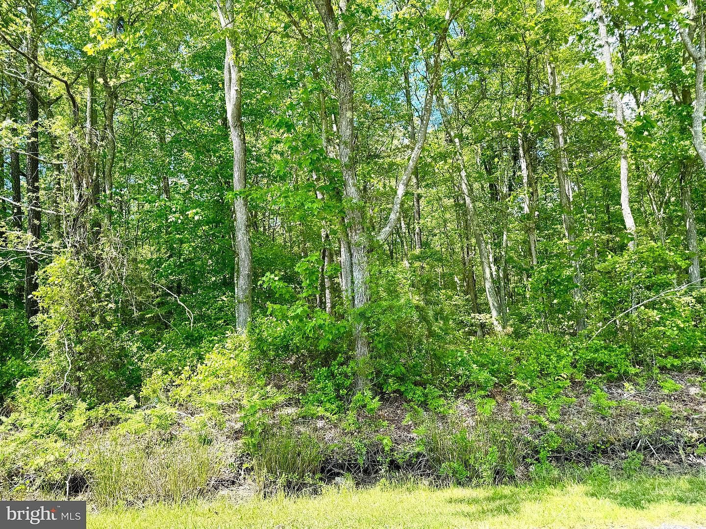 0 Anderson Rd Princess Anne, MD 21853 - Thumbnail 5