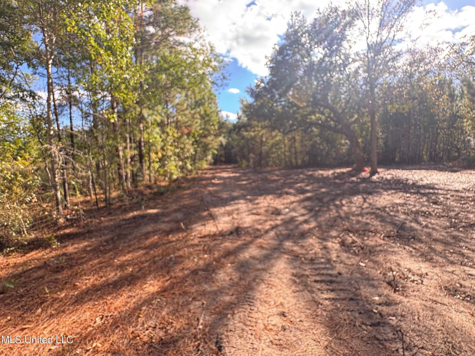 7190 Cantania Rd Bay Saint Louis, MS 39520 - Thumbnail 5