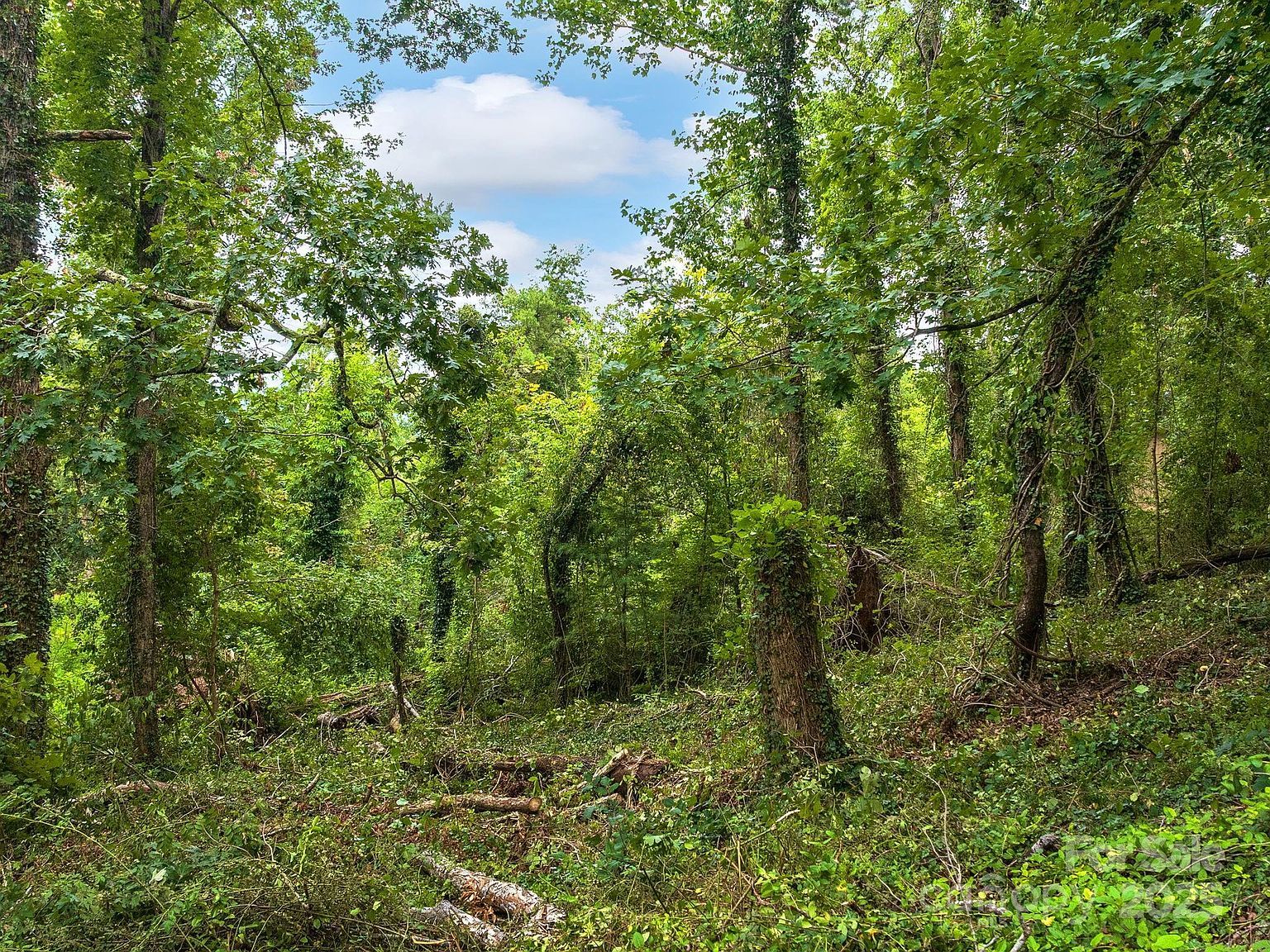 99999 Windsor Rd Asheville, NC 28804 - Thumbnail 5