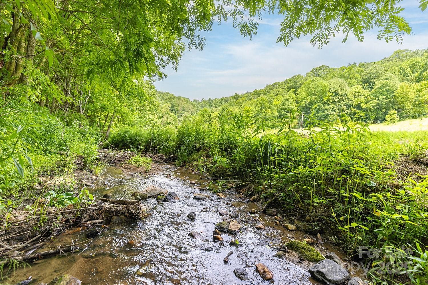 99999 Sugar Camp Rd Marshall, NC 28753 - Thumbnail 5