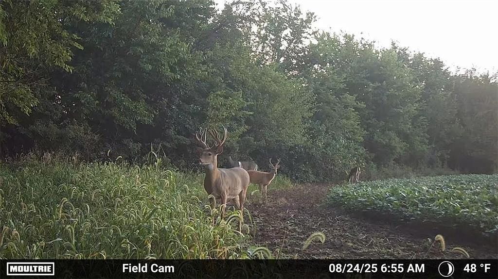SE 700th Rd Kincaid, KS 66039 - Thumbnail 5