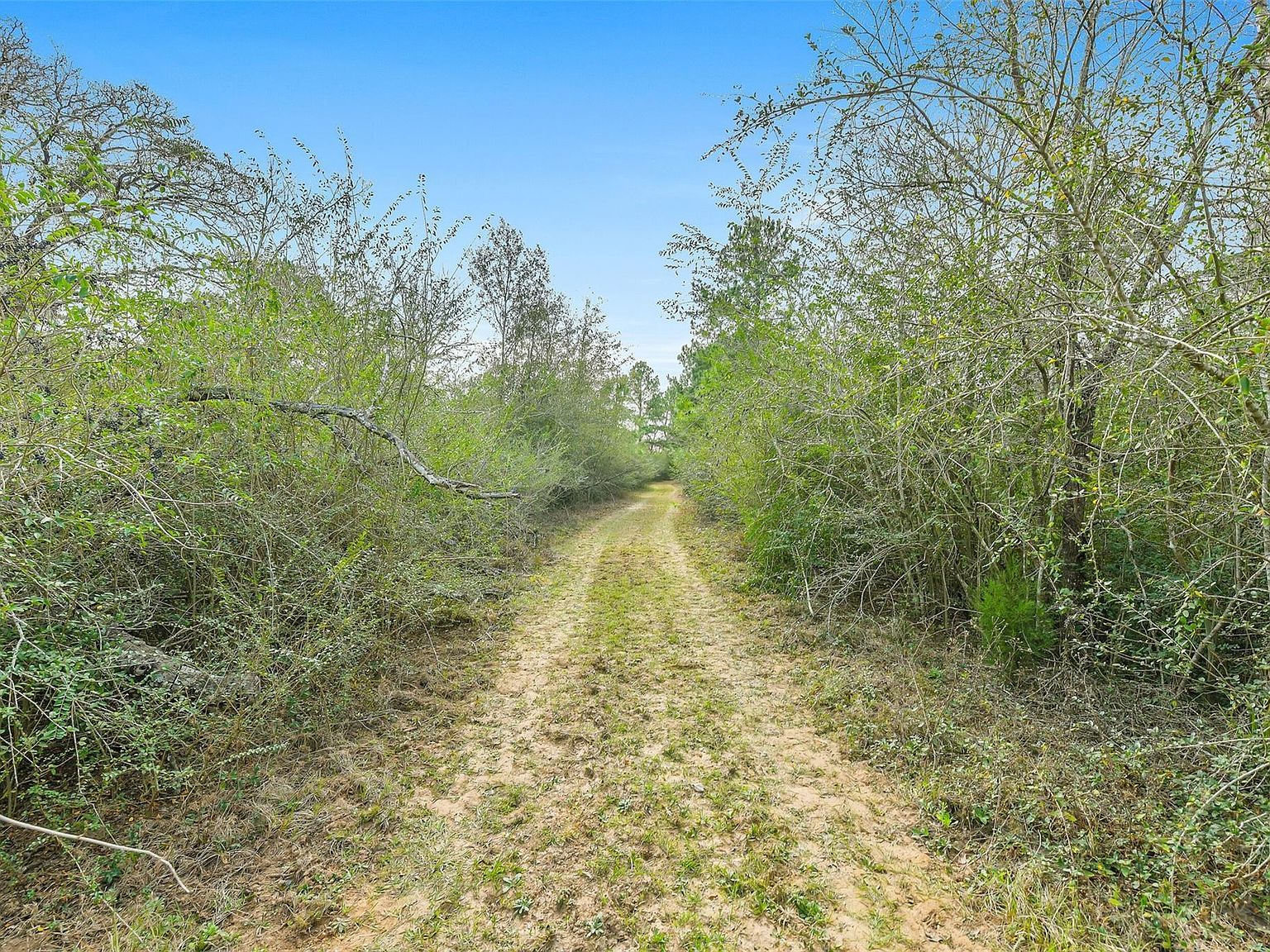 17625 Falcon Ln Hempstead, TX 77445 - Thumbnail 5