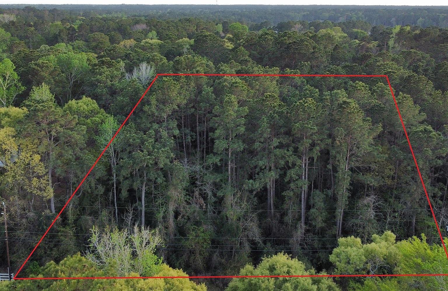 19103 Country Lake Dr Magnolia, TX 77355 - Thumbnail 5