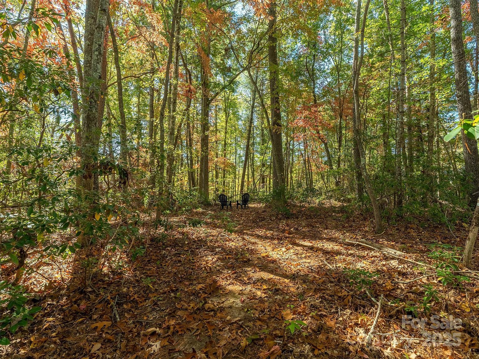 18 Towering Oaks Ln Asheville, NC 28805 - Thumbnail 5