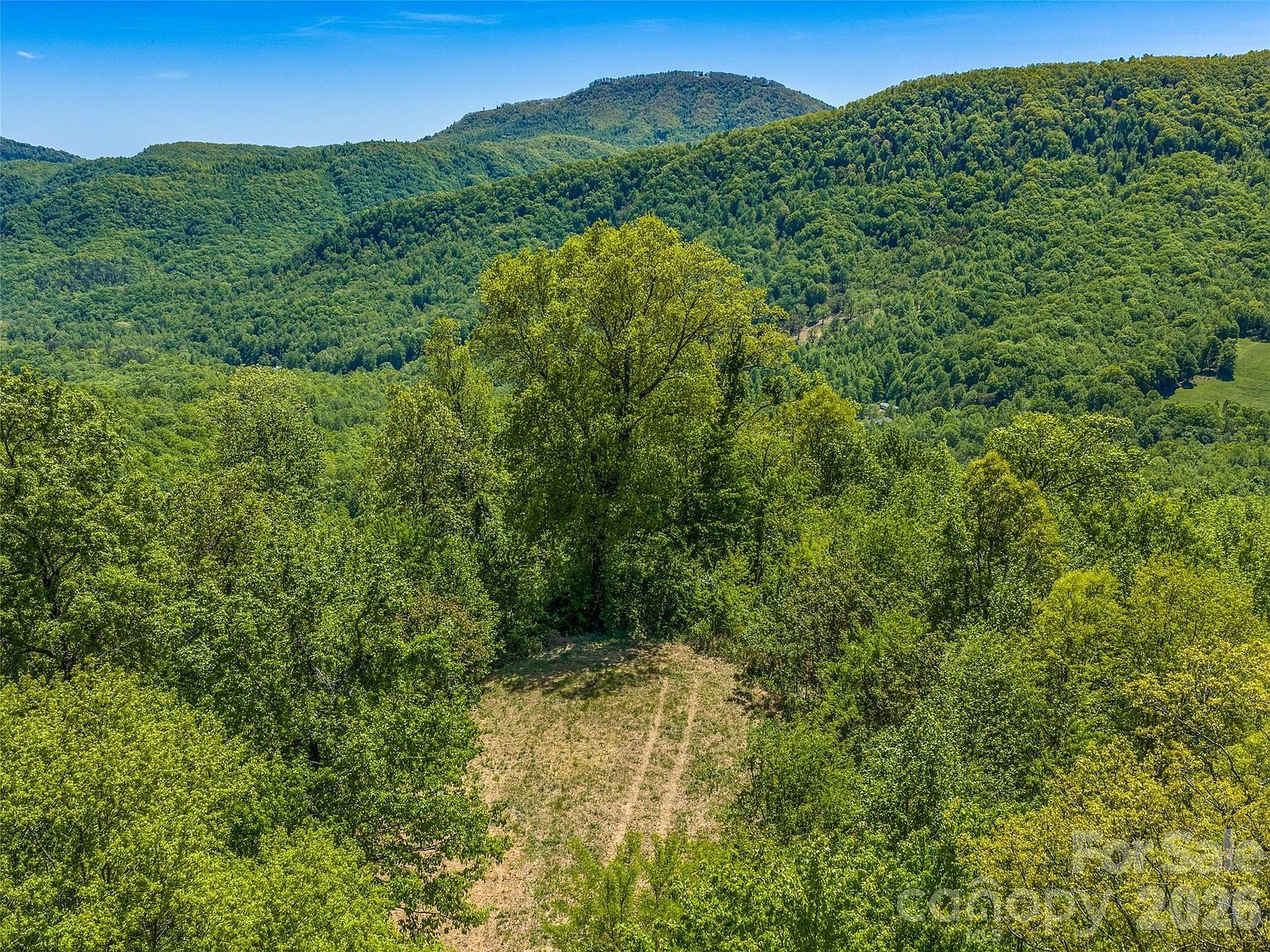 488 Warbler Ln Black Mountain, NC 28711 - Thumbnail 5