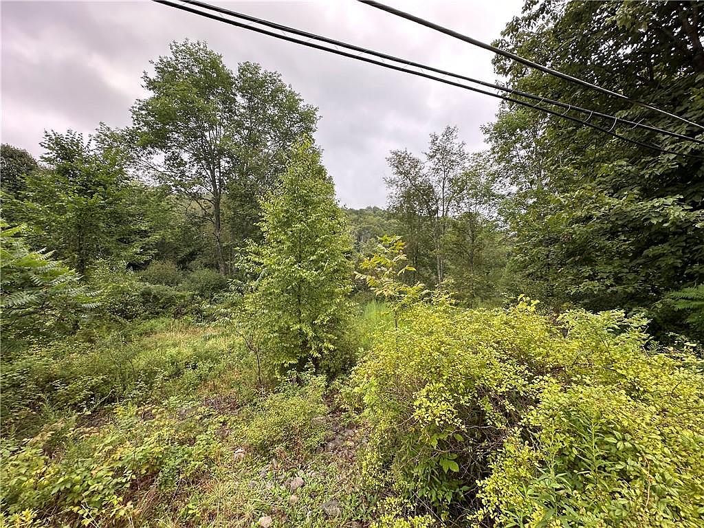 Shandelee Rd, Youngsville, NY, 12791 - Thumbnail 5