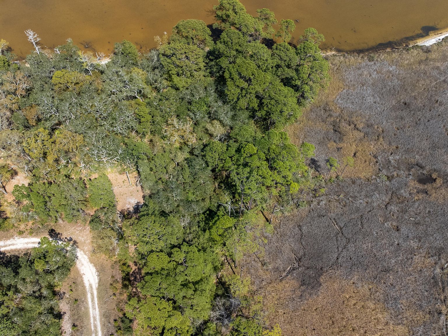 4 Bay Magnolia Ln Pt Washington, FL 32459 - Thumbnail 5