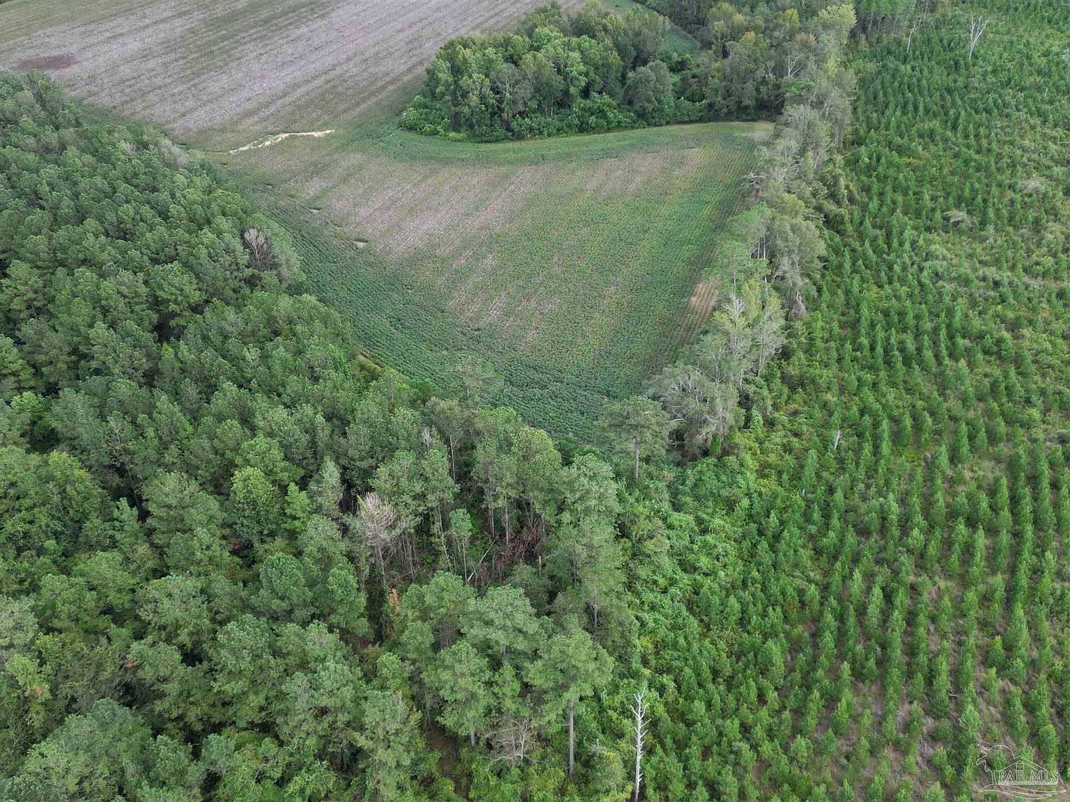 0 Highway 87 N Jay, FL 32565 - Thumbnail 5