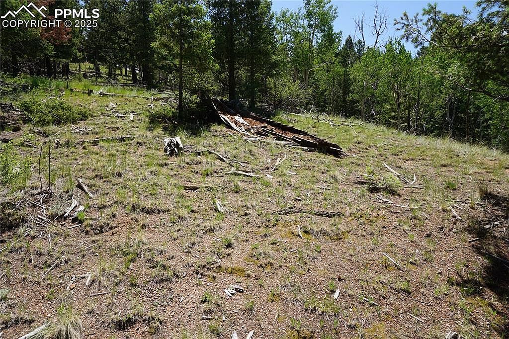 1000 Bennett Dr Cripple Creek, CO 80813 - Thumbnail 5