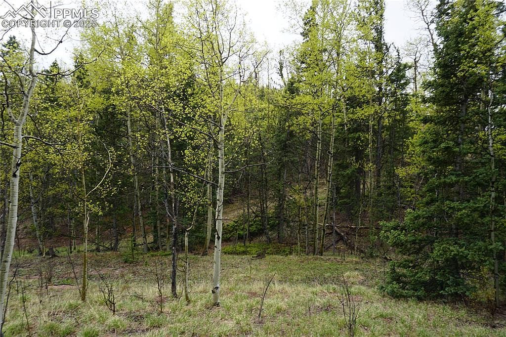 Vacant Land Cripple Creek, CO 80813 - Thumbnail 5