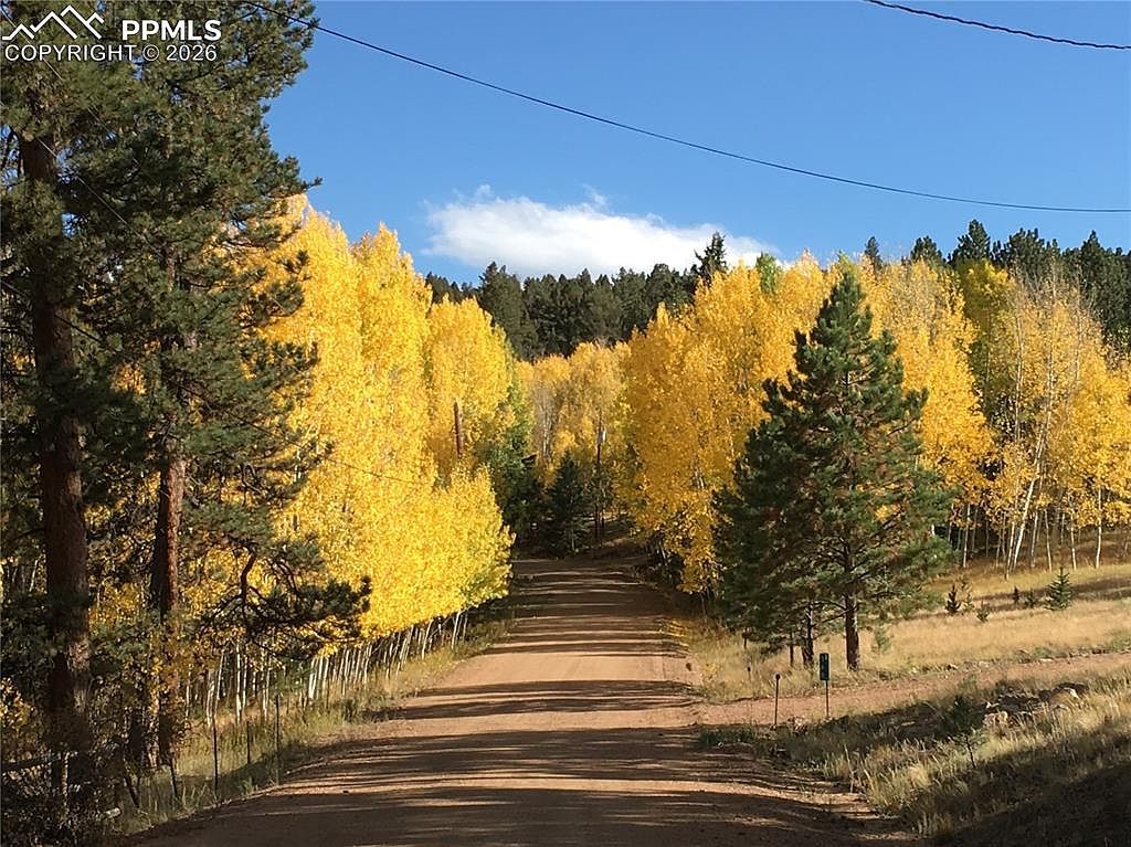 LOT 20 Echo Lake Dr Lake George, CO 80827 - Thumbnail 5