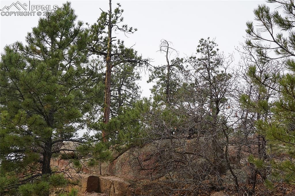 1893 Arapahoe Dr Florissant, CO 80816 - Thumbnail 5