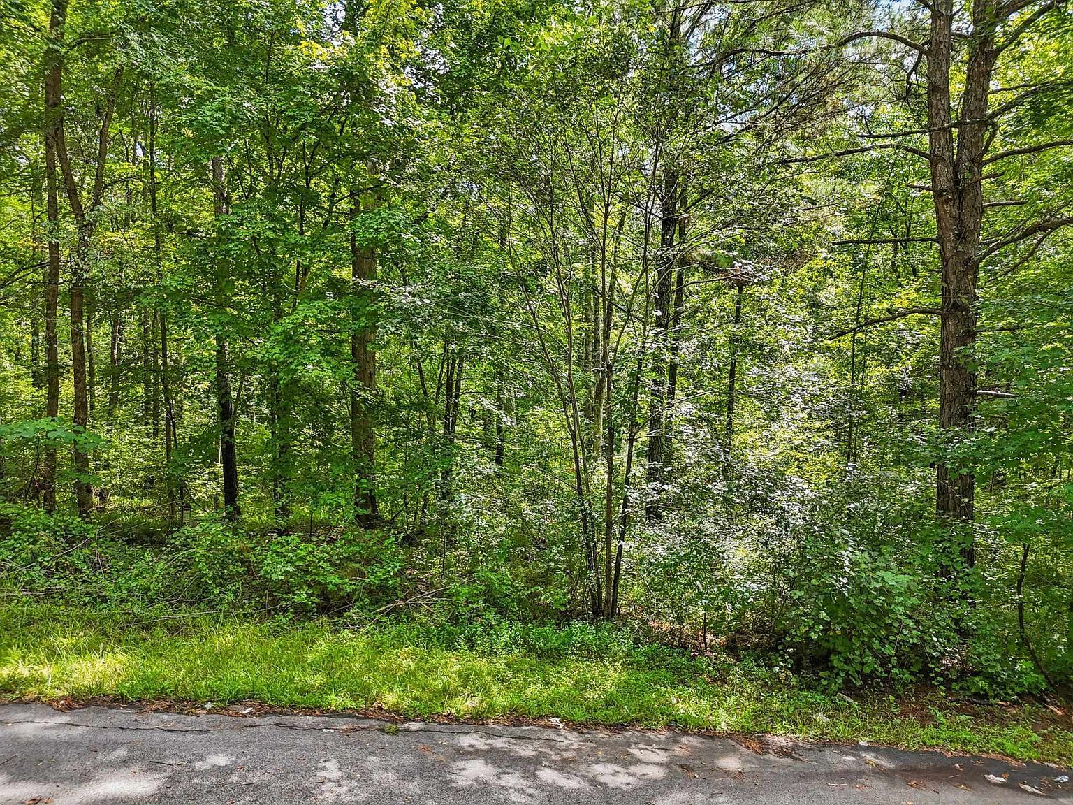 1040 Union Station Rd #5 Greensboro, GA 30642 - Thumbnail 5