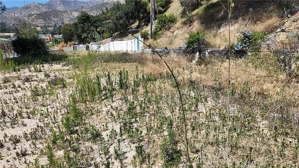 1369 E Loma Alta Dr Lot 9 Altadena, CA 91001 - Thumbnail 5