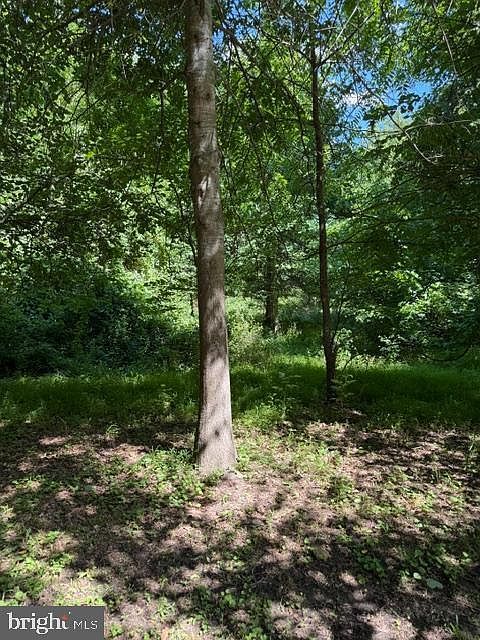 916 Woodward Ln Crownsville, MD 21032 - Thumbnail 5