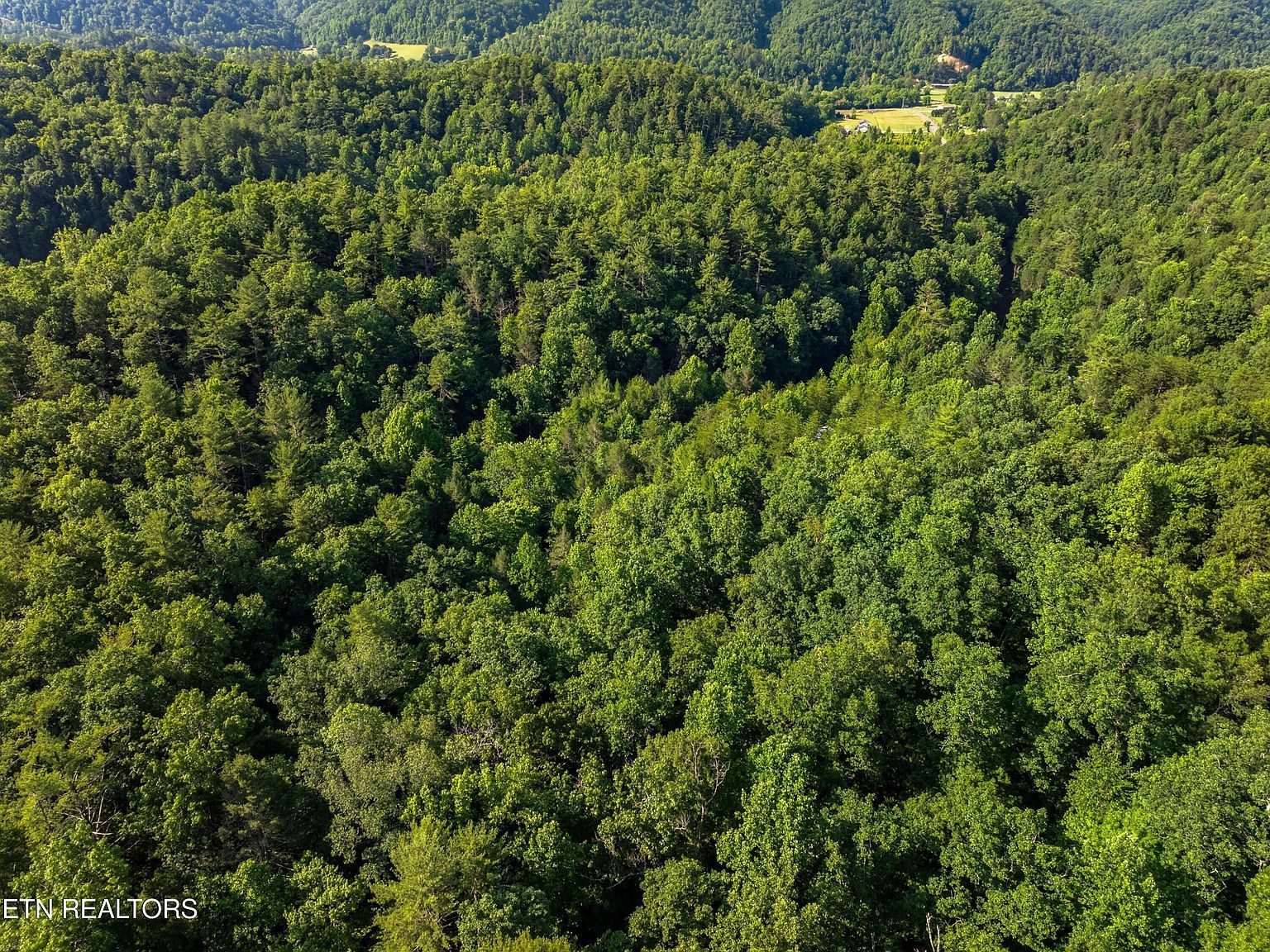 Yellow Breeches Rd Cosby, TN 37722 - Thumbnail 5