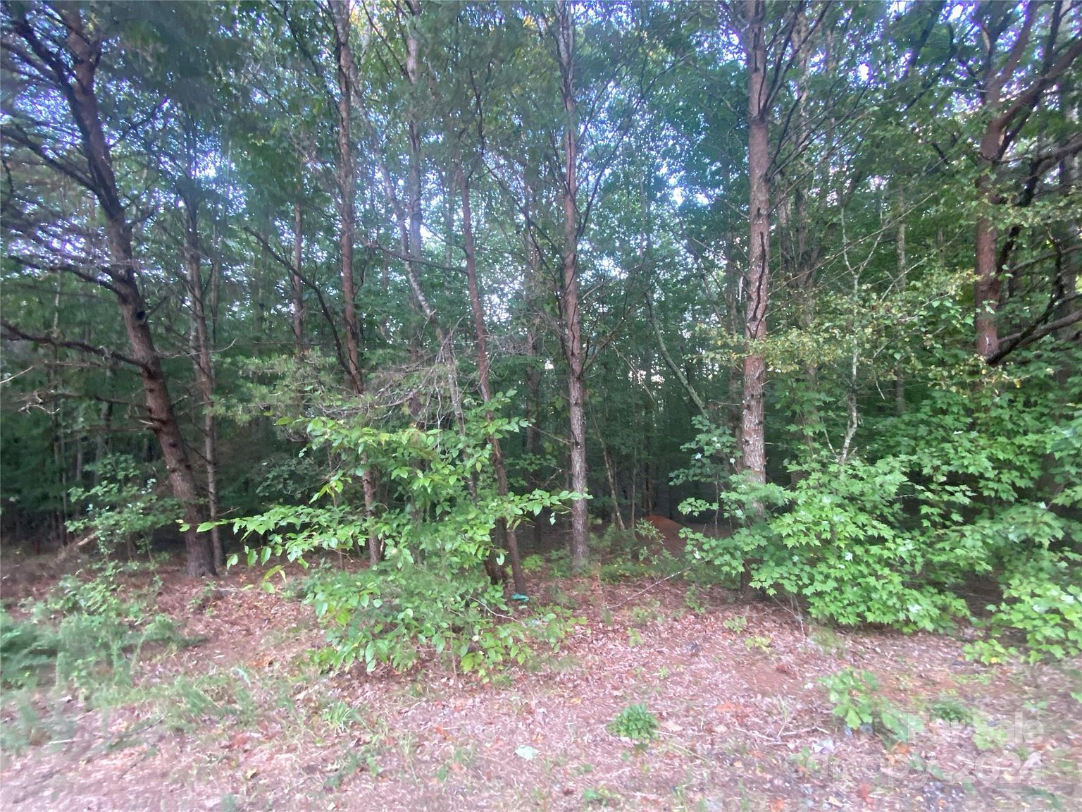 1301 Shadowfax Wynd #51 Hickory, NC 28602 - Thumbnail 5